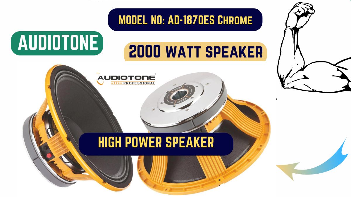 Audiotone Speaker 18 inch 2000 Watt Price